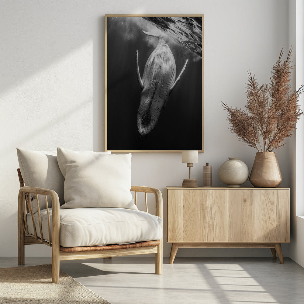 Black & Whale Poster